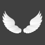 Wings OFF Studio