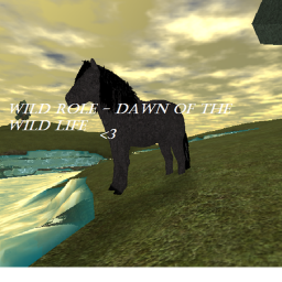 Wild Life