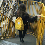 dayshine homestore v2