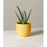 DaisysCuteClothes