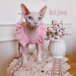 bijou