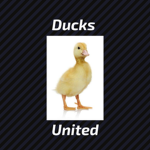 Ducks_United