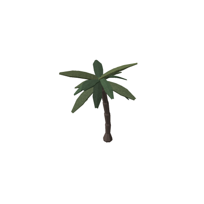 Palm Tree
