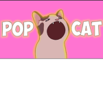 P0P Cats Group