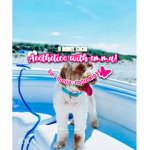 Aesthetic’s with emma !