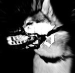zanixx