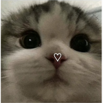 ItzMoonlightWolf
