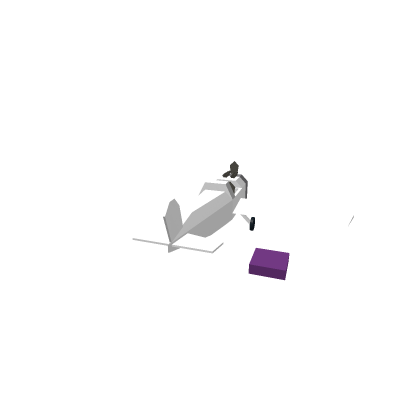 Plane WORKING!!