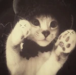 Meow Outfits Group Thumbnail