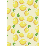 Lemon Clothing Studio