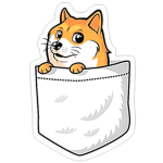 Doge fighting group thing