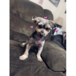 AvErYpUpPy