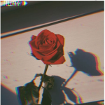 Aesthetic ppl >:)