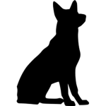 Canine Multiverse Studios