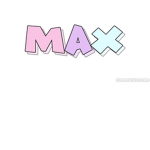 1maxpro1111