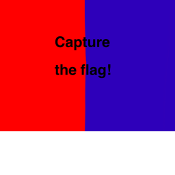 Capture the flag!