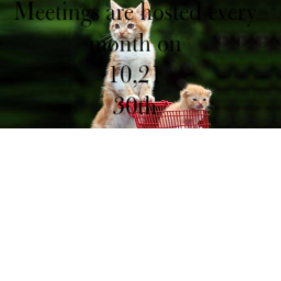 MEETING GAME