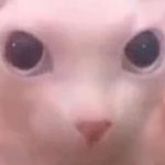 unlimited bacon but no games
