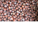 trabzonrise 61