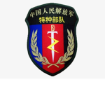 [CPLAAF] 空军纠察