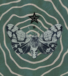 The Moth N3rdz