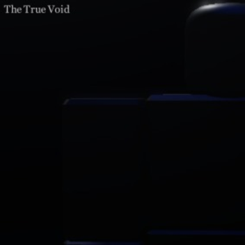 The True Void
