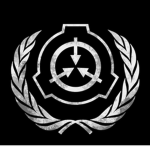 S-MASK organization