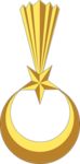 Turkish Armed Forces [TSK]