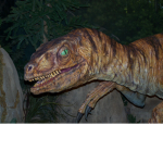 Dinosaurs cousins group