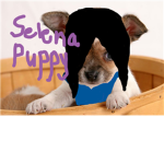 Puppy Girls