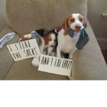 The Sock Monster Doggo Army