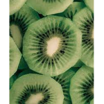 <The Kiwi Squad>