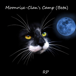 Moonrise-Clan's Territory 🐱