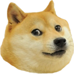 Doge simulator