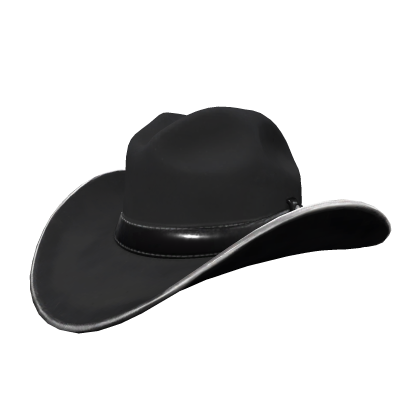 Black and Silver Cowboy Hat