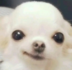 yo,