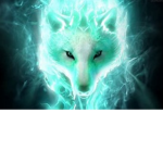 Wolfy fan GROUP!!