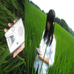 aelf