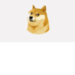 BEST DOGES ONLY