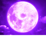 Midnight Digital