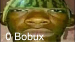 bobux shall we have