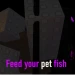 Feed your pet fish [LEGACY] icon