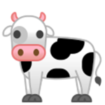 ~+cow fam+~