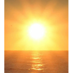 Sunny time!
