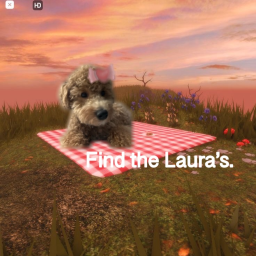Find the Laura's! (WIP)