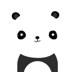 Panda Dance Studio