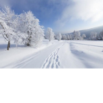 snow groupe