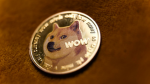 Doge's city