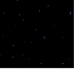 Untitled Game