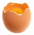 eggs on bread